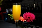 Mimosas